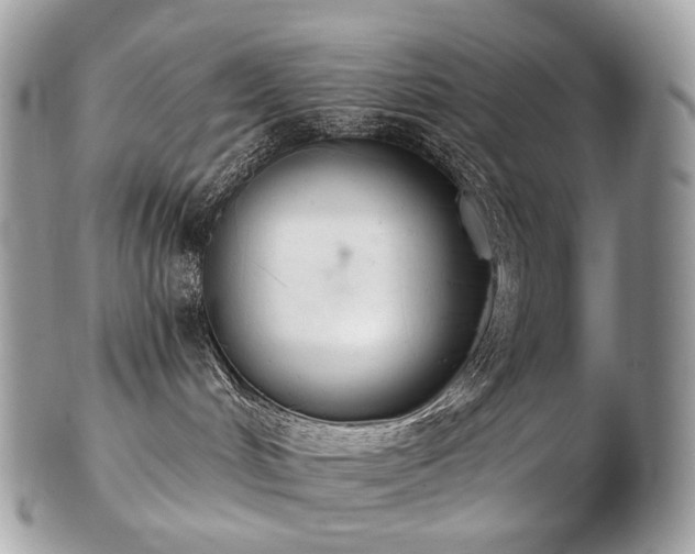 X0000103280048200808291321