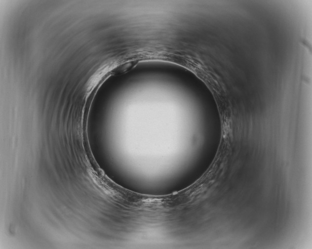 X0000103280052200808291320