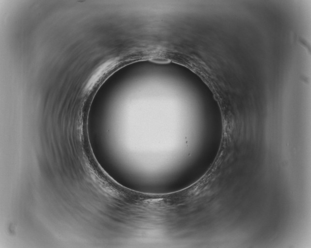 X0000103280054200808291320