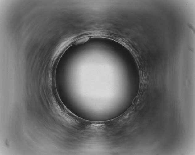 X0000103280055200808291320