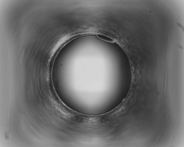 X0000103280056200808291320