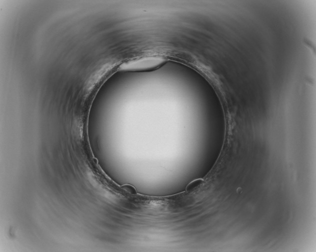 X0000103280060200808291320