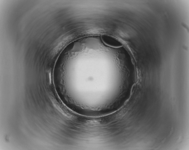 X0000103280061200808291320