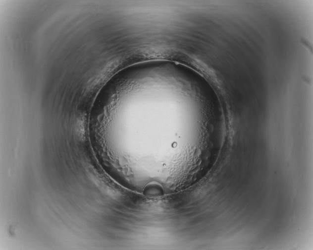 X0000103280065200808291320