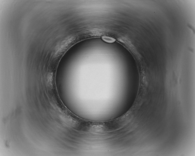 X0000103280066200808291320