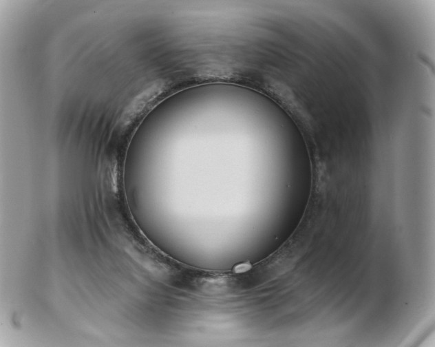 X0000103280068200808291320