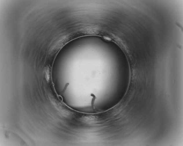 X0000103280069200808291320