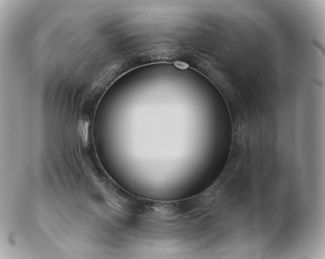 X0000103280070200808291320