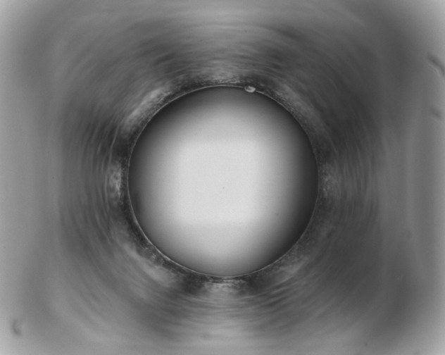 X0000103280072200808291320