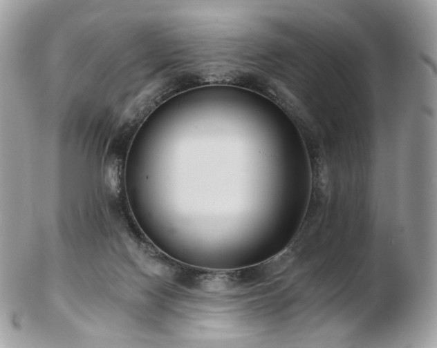 X0000103280074200808291320