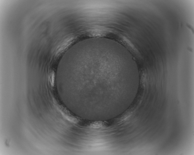 X0000103280076200808291321