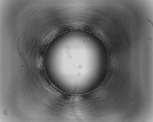 X0000103280077200808291321