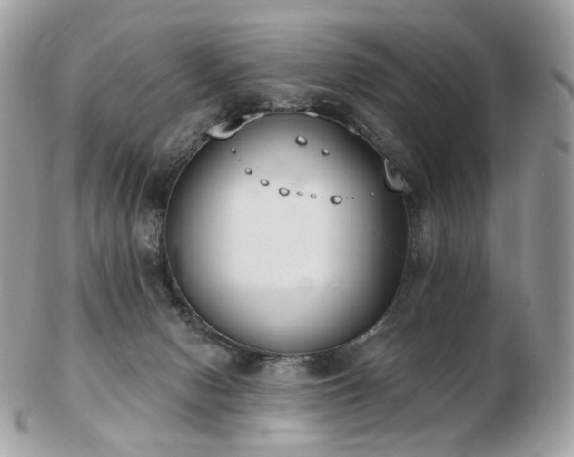 X0000103280078200808291321