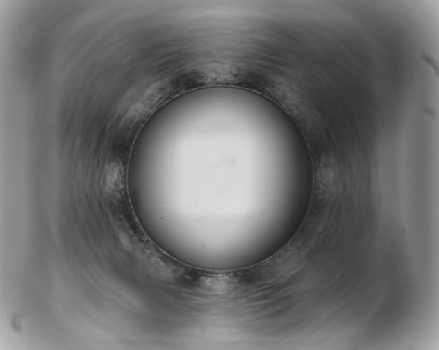 X0000103280079200808291321