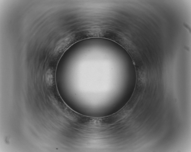 X0000103280080200808291321