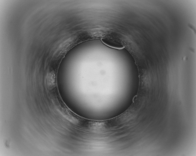 X0000103280081200808291321