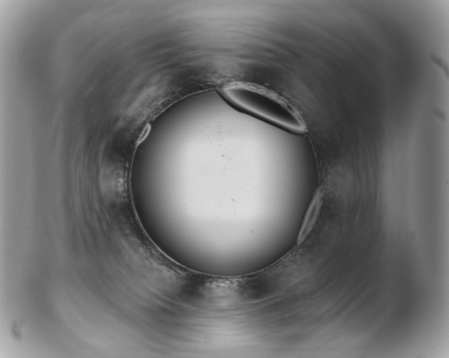 X0000103280084200808291321