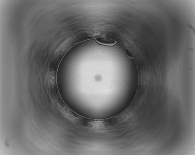 X0000103280085200808291321