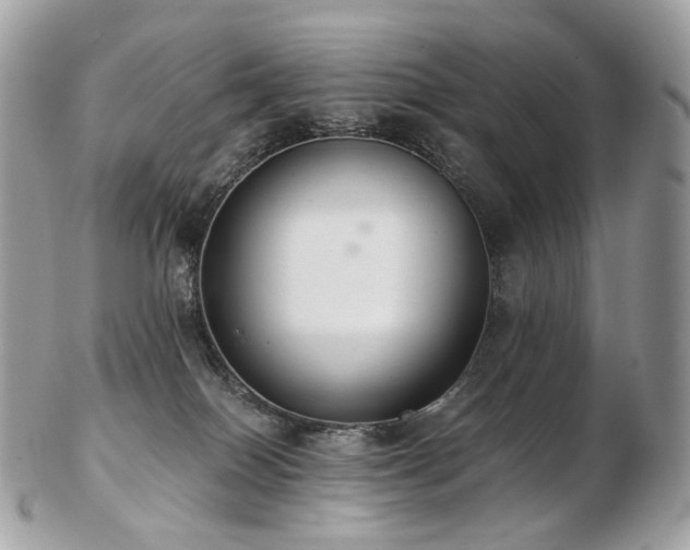 X0000103280086200808291321