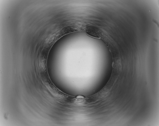 X0000103280088200808291321