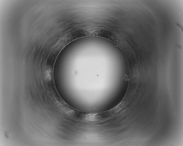 X0000103280090200808291321