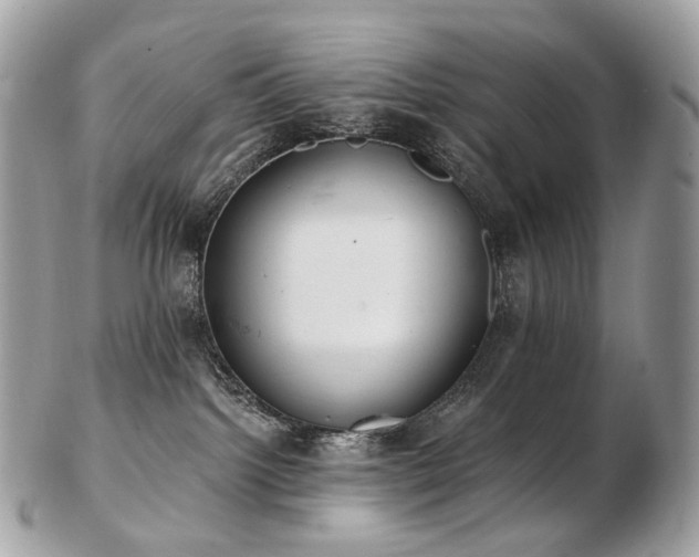 X0000103280092200808291321