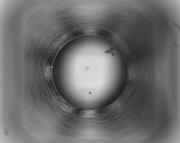 X0000103280093200808291321