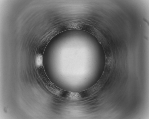 X0000103280095200808291321