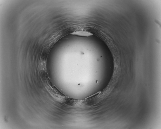 X0000103280096200808291321