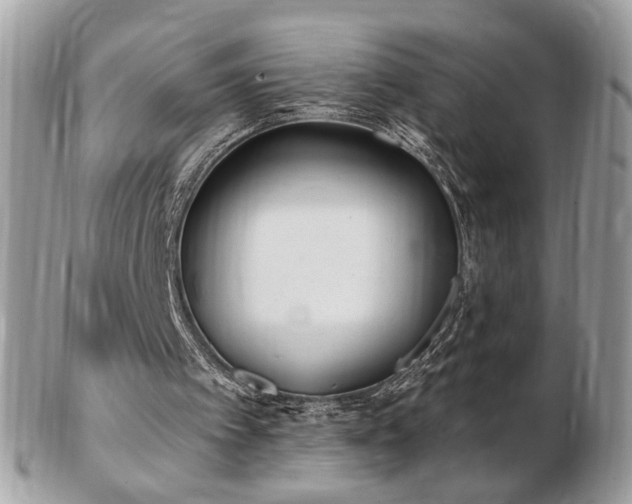 X0000103280097200808291320