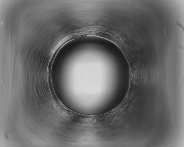 X0000103280100200808291320