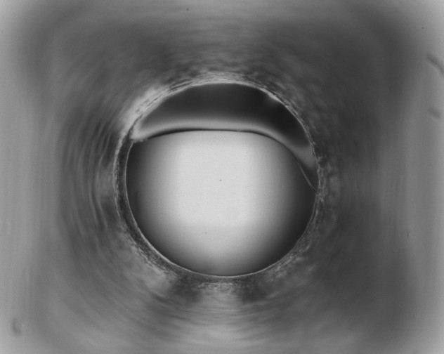 X0000103280104200808291320