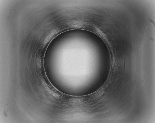 X0000103280106200808291320