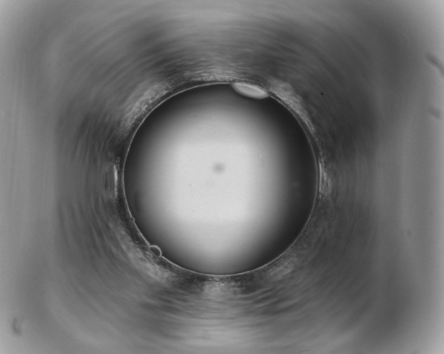 X0000103280109200808291320