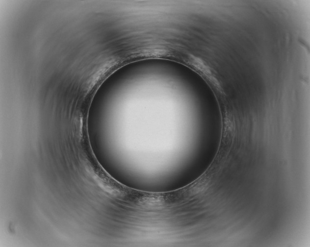 X0000103280110200808291320