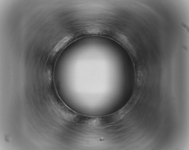 X0000103280116200808291320