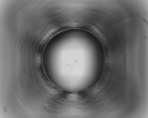 X0000103280119200808291320