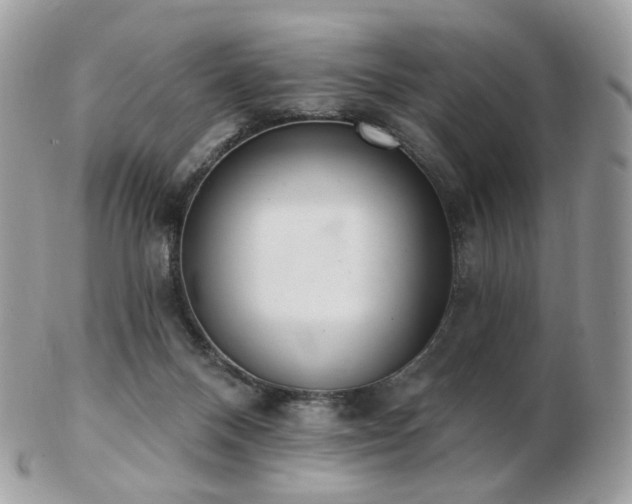 X0000103280120200808291320