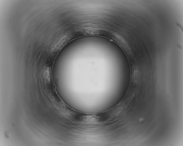 X0000103280121200808291320