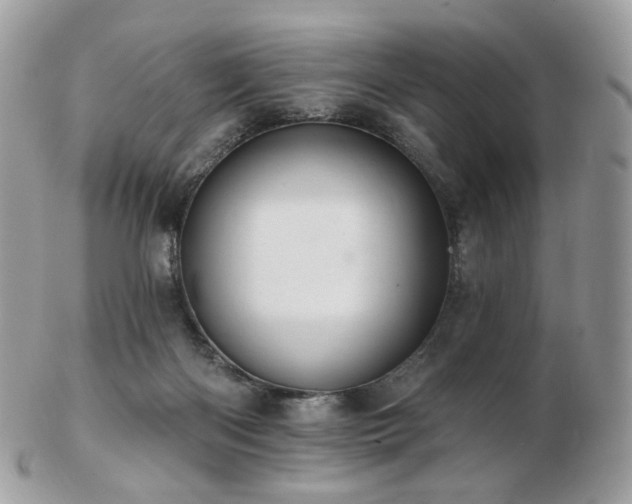 X0000103280122200808291320