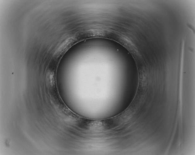 X0000103280123200808291320