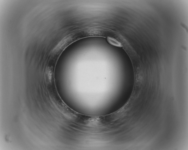 X0000103280124200808291320