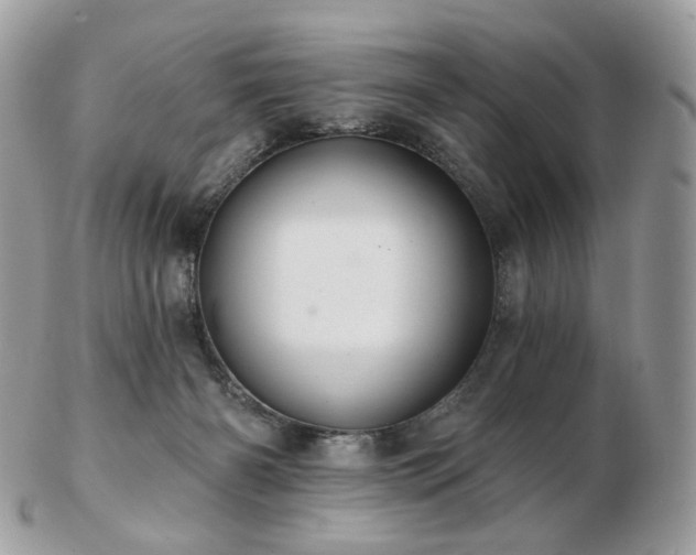 X0000103280126200808291320