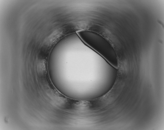 X0000103280128200808291320