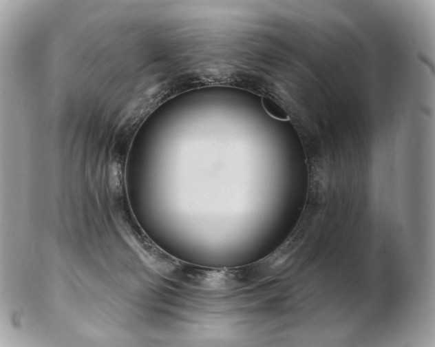 X0000103280130200808291320