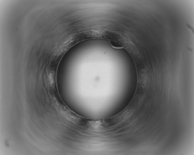 X0000103280131200808291320