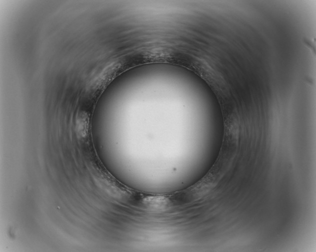 X0000103280133200808291320