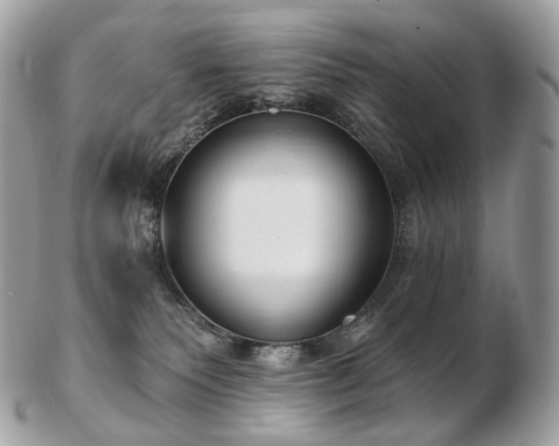 X0000103280135200808291320