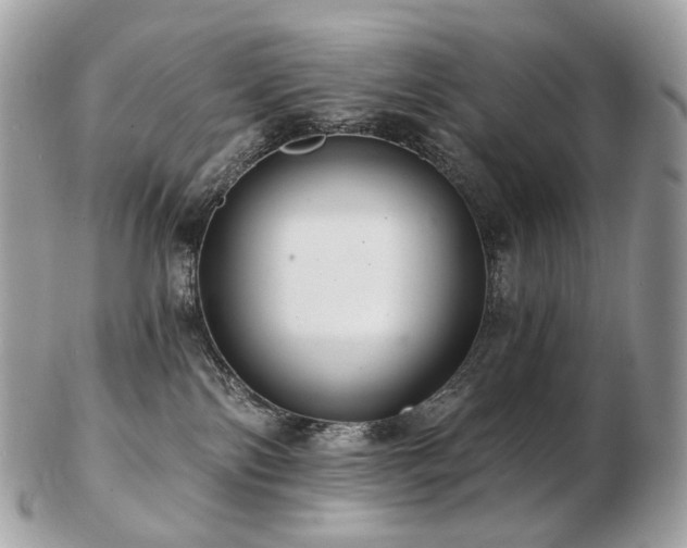 X0000103280138200808291320