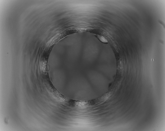 X0000103280139200808291320